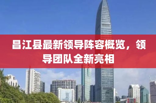 昌江縣最新領(lǐng)導(dǎo)陣容概覽，領(lǐng)導(dǎo)團(tuán)隊(duì)全新亮相