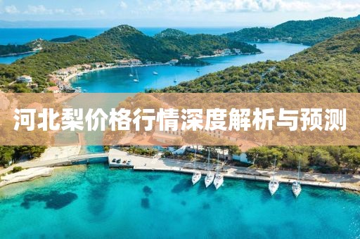 河北梨價格行情深度解析與預(yù)測