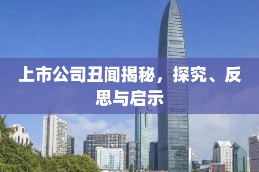 上市公司丑聞揭秘，探究、反思與啟示