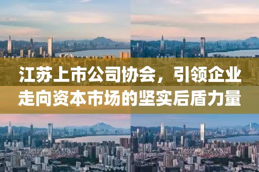 江蘇上市公司協(xié)會(huì)，引領(lǐng)企業(yè)走向資本市場(chǎng)的堅(jiān)實(shí)后盾力量