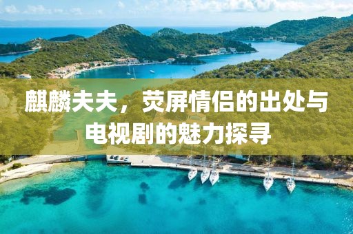 麒麟夫夫，熒屏情侶的出處與電視劇的魅力探尋