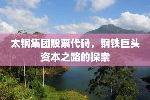 太鋼集團(tuán)股票代碼，鋼鐵巨頭資本之路的探索