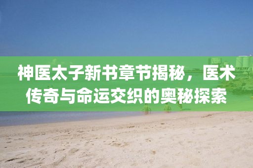 神醫(yī)太子新書章節(jié)揭秘，醫(yī)術(shù)傳奇與命運交織的奧秘探索