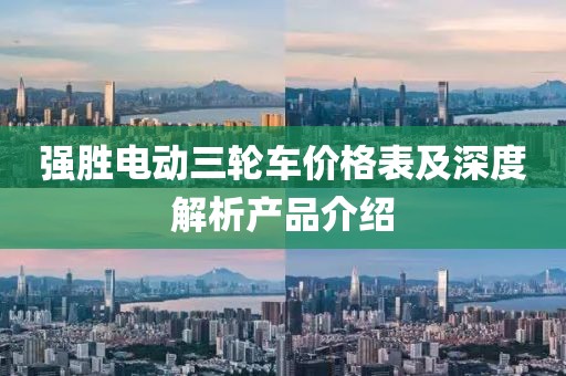 強(qiáng)勝電動(dòng)三輪車(chē)價(jià)格表及深度解析產(chǎn)品介紹