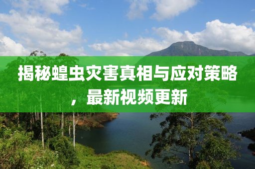 揭秘蝗蟲災(zāi)害真相與應(yīng)對(duì)策略，最新視頻更新
