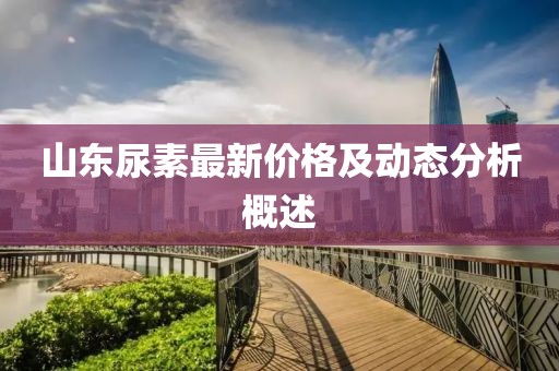 山東尿素最新價格及動態(tài)分析概述