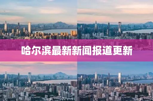 哈爾濱最新新聞報(bào)道更新