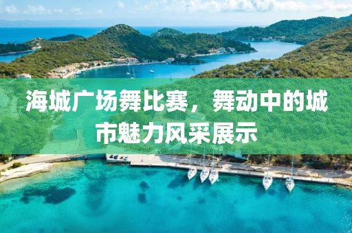 海城廣場舞比賽，舞動(dòng)中的城市魅力風(fēng)采展示