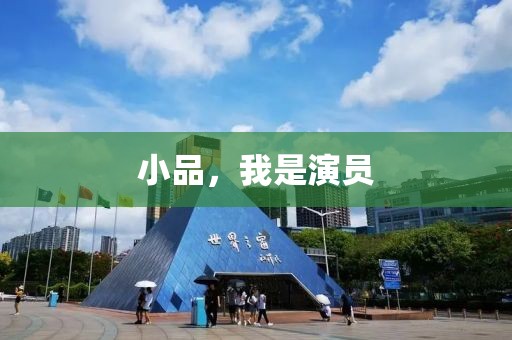 小品，我是演員