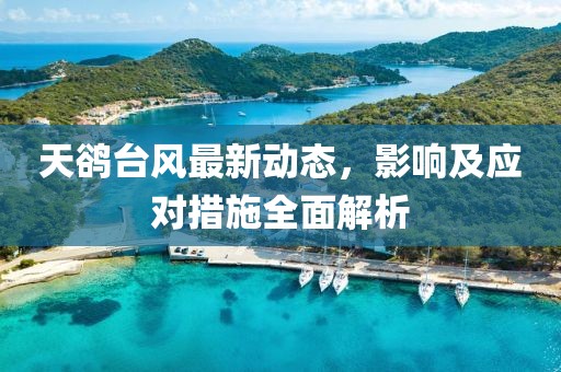 天鵒臺風(fēng)最新動態(tài)，影響及應(yīng)對措施全面解析