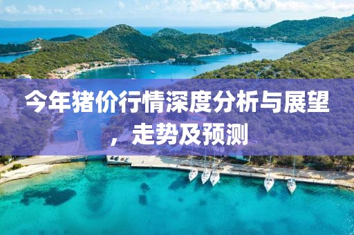 今年豬價行情深度分析與展望，走勢及預(yù)測