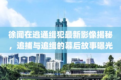 徐聞在逃通緝犯最新影像揭秘，追捕與追緝的幕后故事曝光