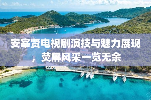 安宰賢電視劇演技與魅力展現，熒屏風采一覽無余