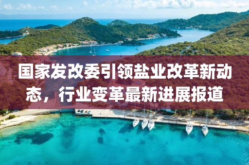 國(guó)家發(fā)改委引領(lǐng)鹽業(yè)改革新動(dòng)態(tài)，行業(yè)變革最新進(jìn)展報(bào)道