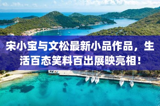 宋小寶與文松最新小品作品，生活百態(tài)笑料百出展映亮相！