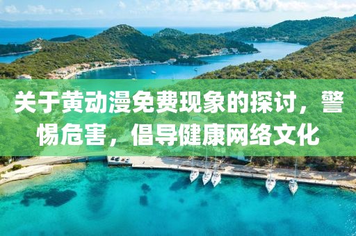 關(guān)于黃動漫免費現(xiàn)象的探討，警惕危害，倡導健康網(wǎng)絡(luò)文化
