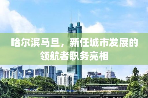 哈爾濱馬旦，新任城市發(fā)展的領(lǐng)航者職務(wù)亮相
