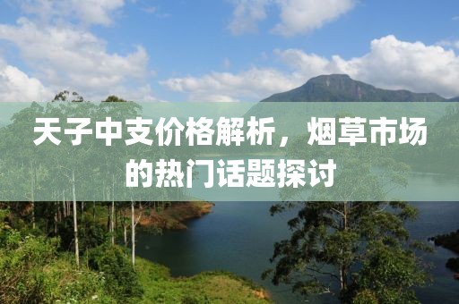 天子中支價(jià)格解析，煙草市場(chǎng)的熱門話題探討