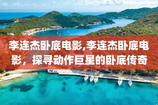 李連杰臥底電影,李連杰臥底電影，探尋動(dòng)作巨星的臥底傳奇