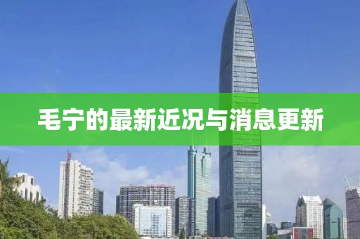 毛寧的最新近況與消息更新