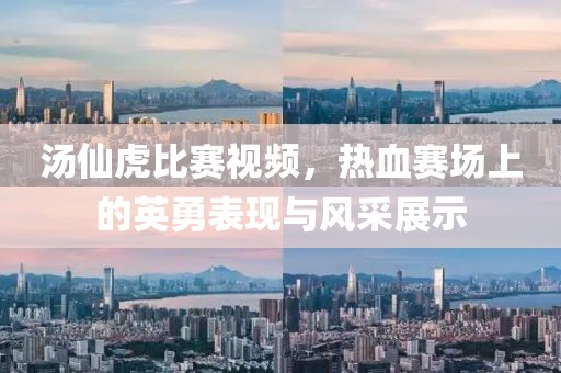 湯仙虎比賽視頻，熱血賽場上的英勇表現(xiàn)與風(fēng)采展示