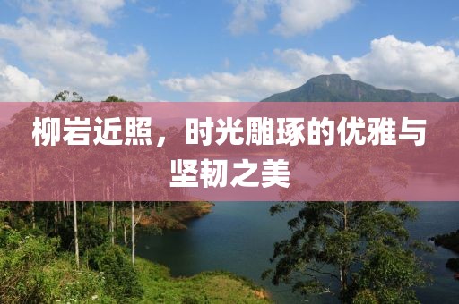 柳巖近照，時光雕琢的優(yōu)雅與堅韌之美