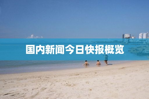 國內(nèi)新聞今日快報概覽