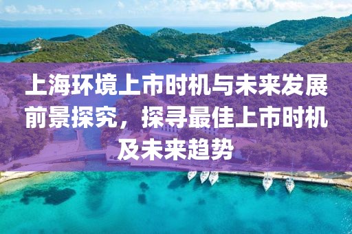 上海環(huán)境上市時(shí)機(jī)與未來發(fā)展前景探究，探尋最佳上市時(shí)機(jī)及未來趨勢(shì)