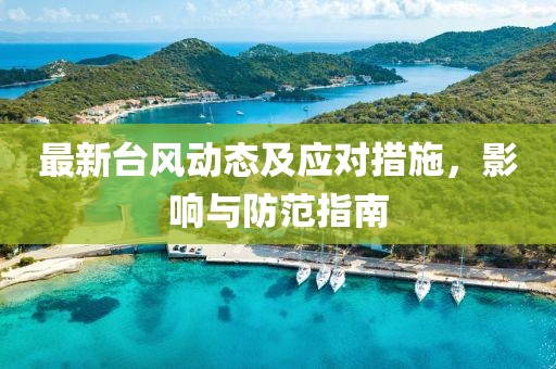 最新臺風(fēng)動態(tài)及應(yīng)對措施，影響與防范指南