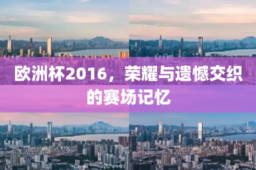 歐洲杯2016，榮耀與遺憾交織的賽場(chǎng)記憶
