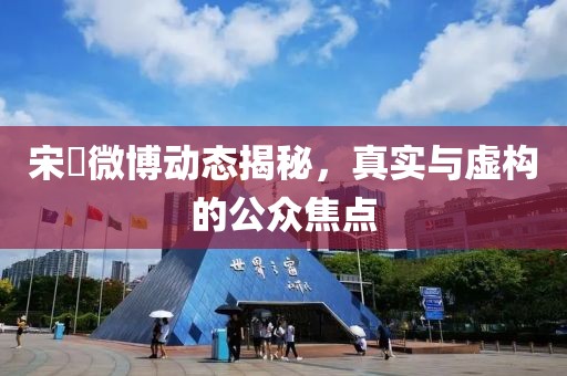 宋喆微博動態(tài)揭秘，真實與虛構(gòu)的公眾焦點
