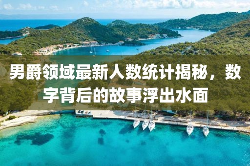 男爵領(lǐng)域最新人數(shù)統(tǒng)計(jì)揭秘，數(shù)字背后的故事浮出水面