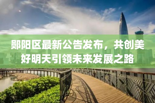 鄖陽區(qū)最新公告發(fā)布，共創(chuàng)美好明天引領(lǐng)未來發(fā)展之路