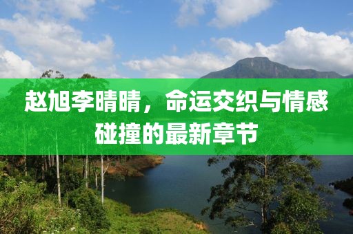 趙旭李晴晴，命運(yùn)交織與情感碰撞的最新章節(jié)