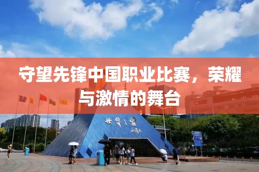 守望先鋒中國(guó)職業(yè)比賽，榮耀與激情的舞臺(tái)