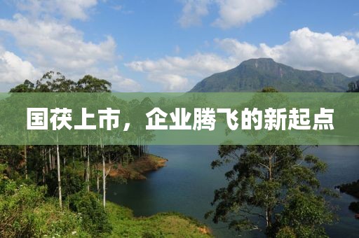 國茯上市，企業(yè)騰飛的新起點