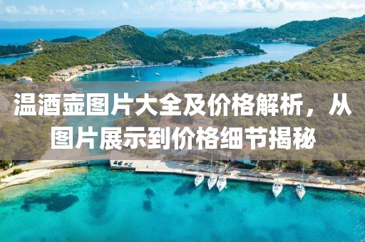 溫酒壺圖片大全及價(jià)格解析，從圖片展示到價(jià)格細(xì)節(jié)揭秘
