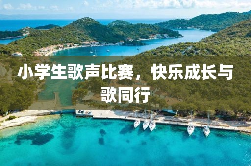 小學(xué)生歌聲比賽，快樂成長與歌同行