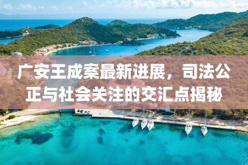 廣安王成案最新進展，司法公正與社會關注的交匯點揭秘