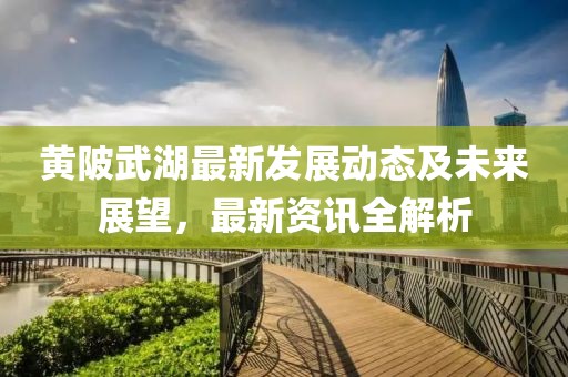黃陂武湖最新發(fā)展動態(tài)及未來展望，最新資訊全解析