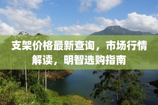 支架價格最新查詢，市場行情解讀，明智選購指南