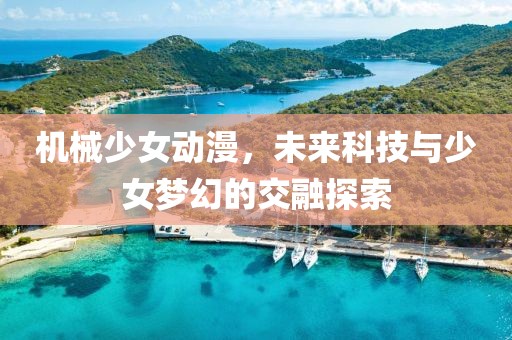 機(jī)械少女動(dòng)漫，未來科技與少女夢(mèng)幻的交融探索