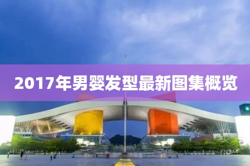 2017年男嬰發(fā)型最新圖集概覽