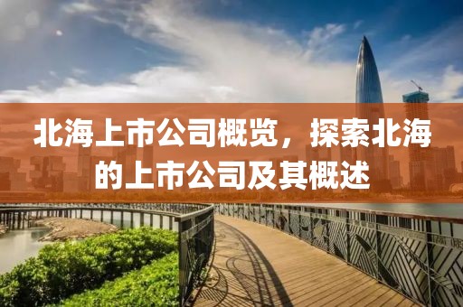 北海上市公司概覽，探索北海的上市公司及其概述