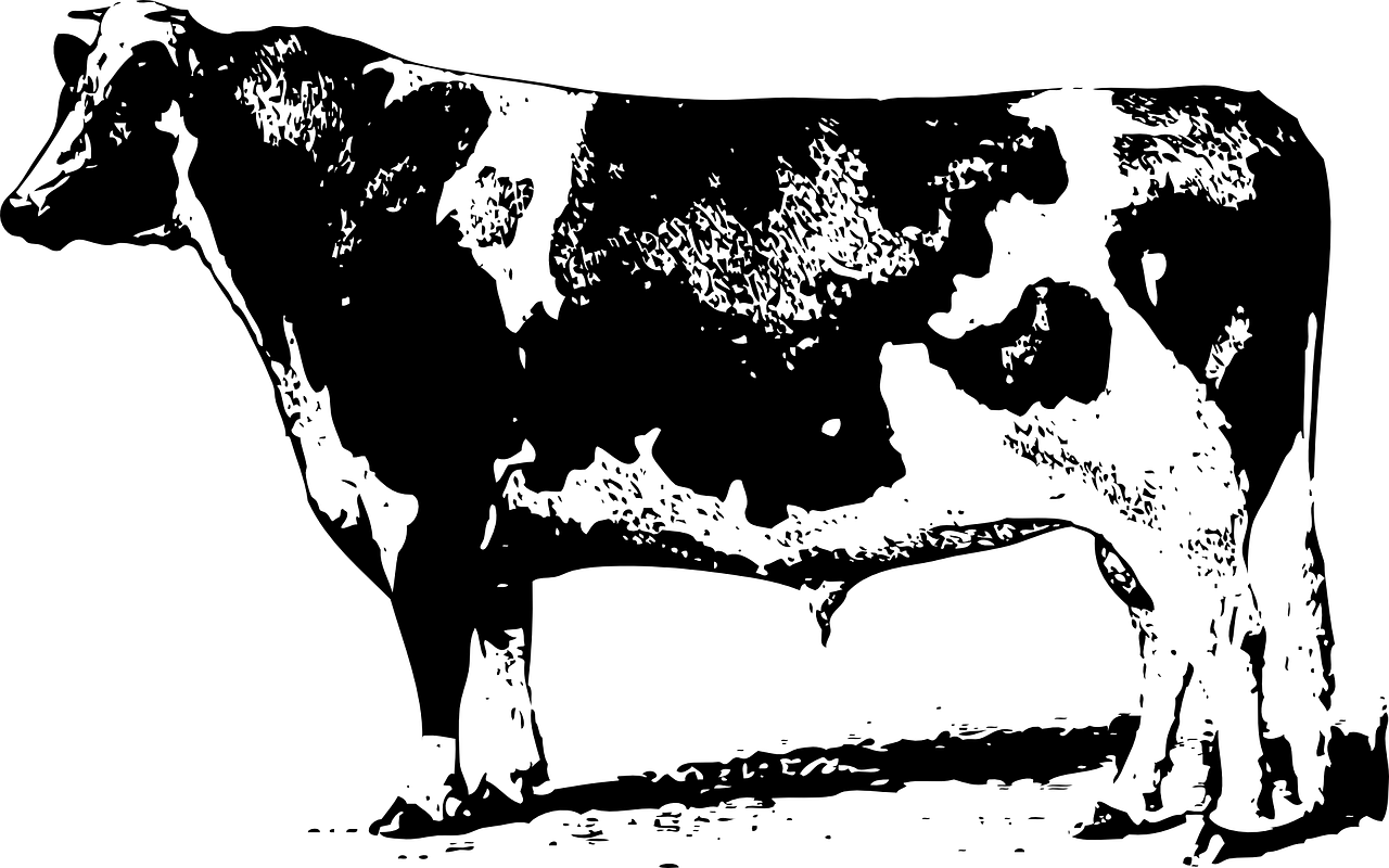 中合三農(nóng)集團(tuán)引領(lǐng)農(nóng)業(yè)產(chǎn)業(yè)變革，共創(chuàng)鄉(xiāng)村振興新篇章的最新動態(tài),或者中合三農(nóng)集團(tuán)，鄉(xiāng)村振興的先鋒，最新動態(tài)引領(lǐng)農(nóng)業(yè)創(chuàng)新