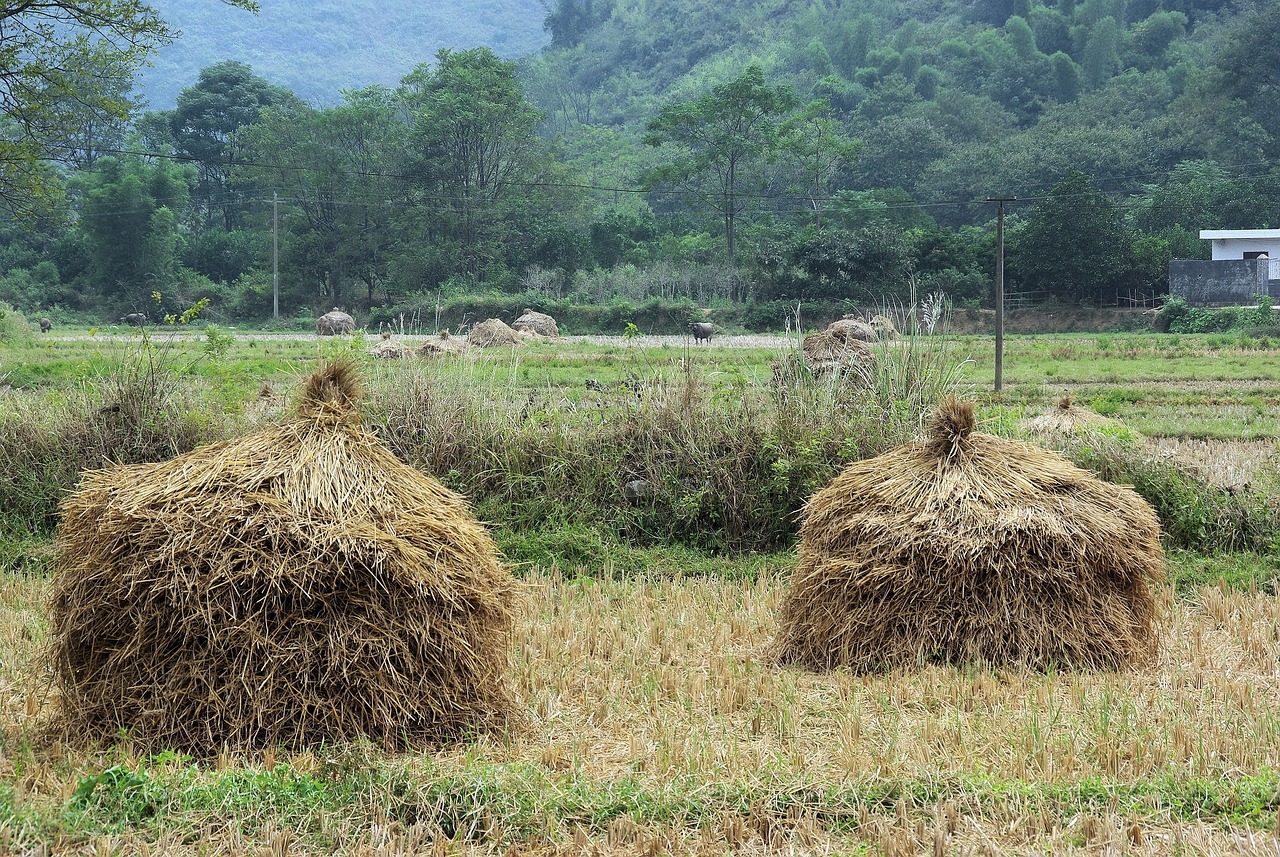 思瑞浦動(dòng)態(tài)，科技創(chuàng)新的先鋒引領(lǐng)者