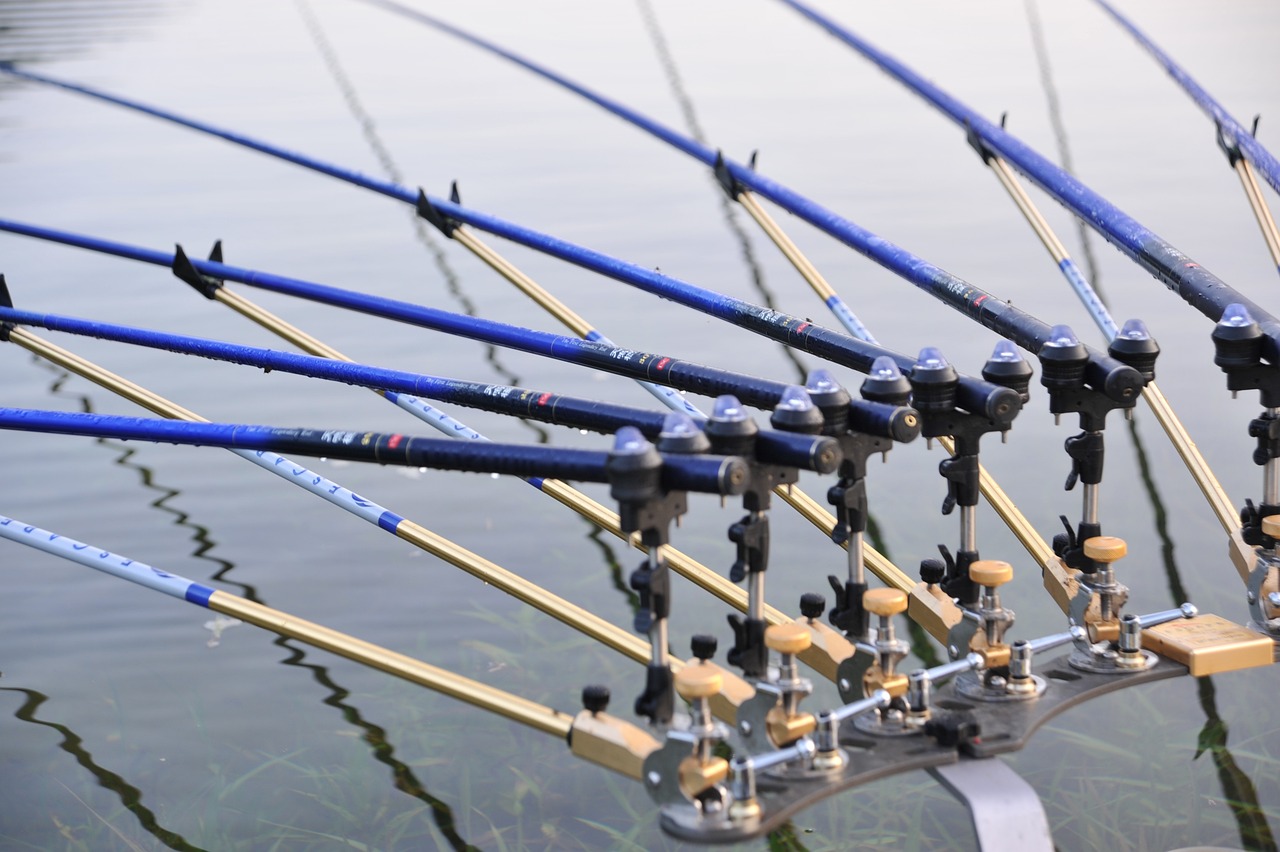 魚桿魚具價格全面解析，深度了解市場行情與購買指南
