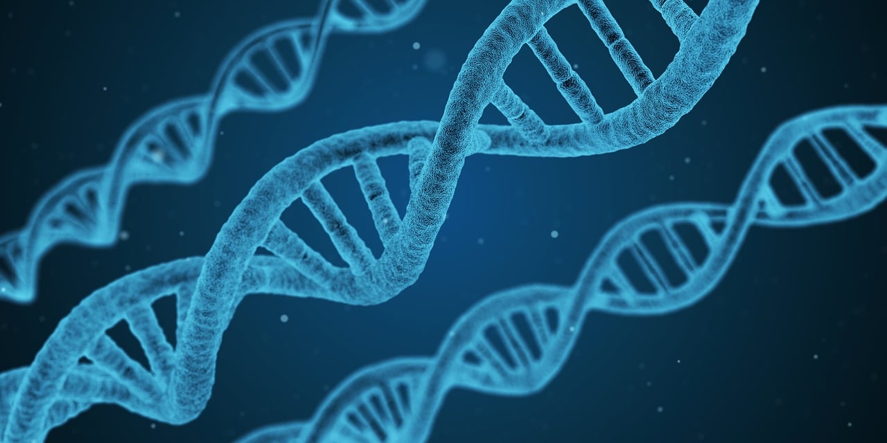 三諾生物引領生物科技，塑造健康未來最新資訊