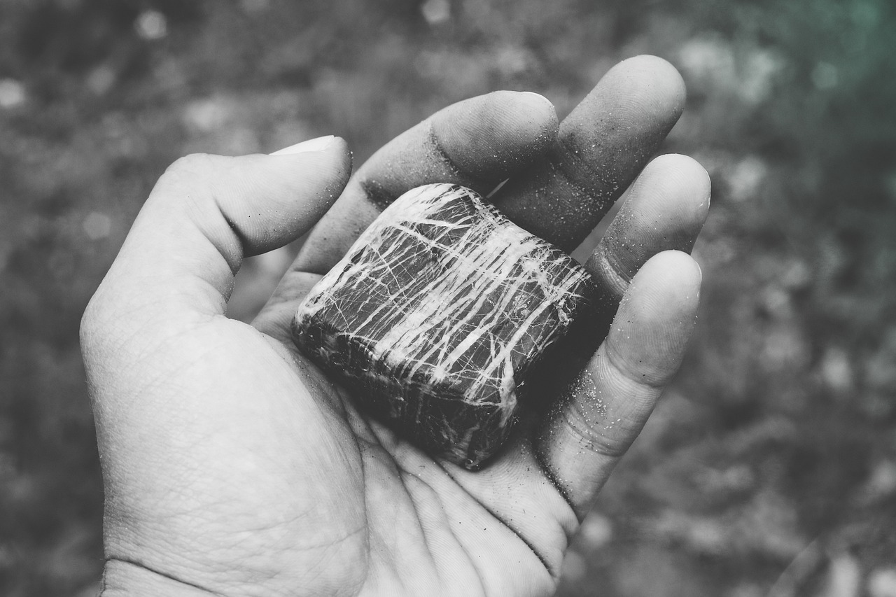 多囊腎病新進(jìn)展，突破與挑戰(zhàn)的未來探索之路