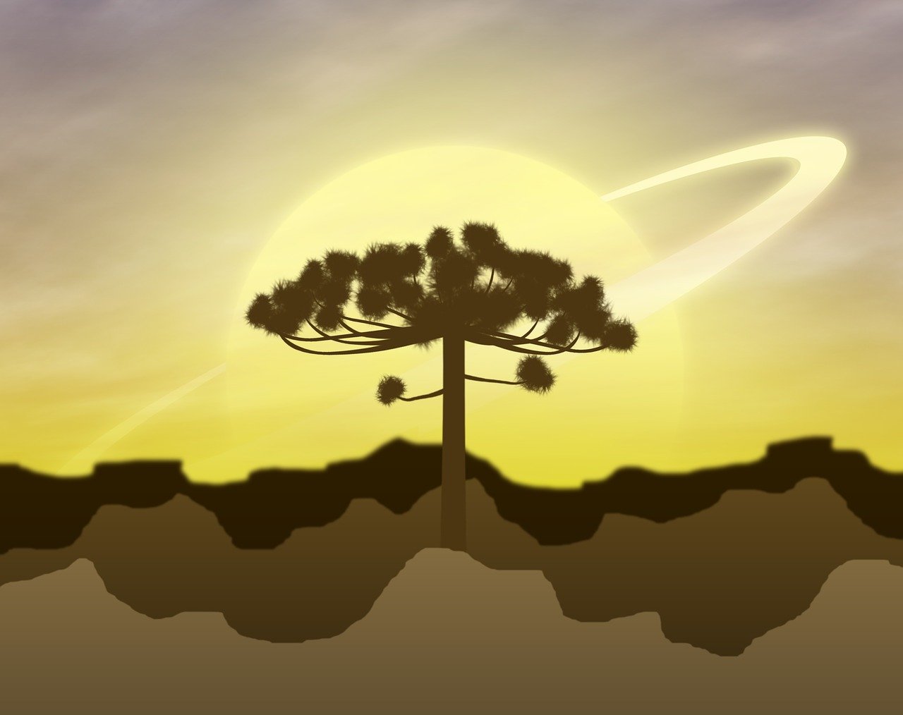 白熊動漫，奇幻之旅，探索魅力世界的無限魅力
